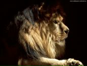 Андрій Ящишин фотография #34 (источник - https://vk.com/id17268396)