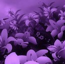 Марія Ганджа фотография #31 (источник - https://vk.com/id168338962)