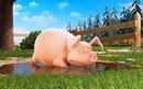 Ілля Касюдик фотография #6 (источник - https://vk.com/id162269697)
