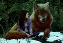 Вікторія Фенин фотография #43 (источник - https://vk.com/id168366665)