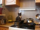 Фотография Монгилёвой Эмилии