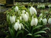 Фотография Беспаловой Екатерины