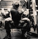 Фотография Севостьянова Дениса