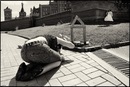 Фотография Чистополовой Ольги