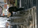 Ірина Войтович фотография #35 (источник - https://vk.com/id92928269)