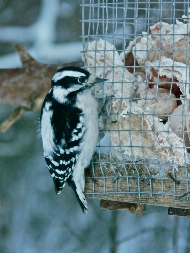 Валерия Ли фотография #32