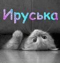 Ірина Костенко фотография #33 (источник - https://vk.com/id192079987)