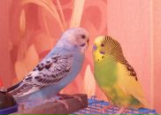 Фотография Игоря Игоря