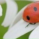 Марія Снігур фотография #18 (источник - https://vk.com/id129021747)