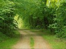 Роман Лобозінський фотография #19 (источник - https://vk.com/id161523176)