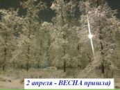 Фотография Светлана Курочкина