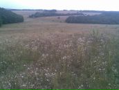 Олександр Міхальов фотография #13 (источник - https://vk.com/id53609426)