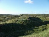 Сергій Алєнічев фотография #34 (источник - https://vk.com/id14559452)