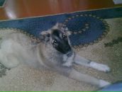 Женя Тимофійчук фотография #35 (источник - https://vk.com/id89248889)