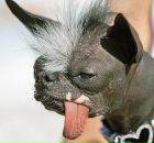 Фотография Михайлова (Фолиадова) Анастасии