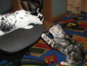 Фотография Сергеевой Елены