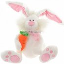 Фотография Эрина Игоря