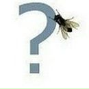 Рустам Хамрокулов фотография #6 (источник - https://vk.com/id1548985)