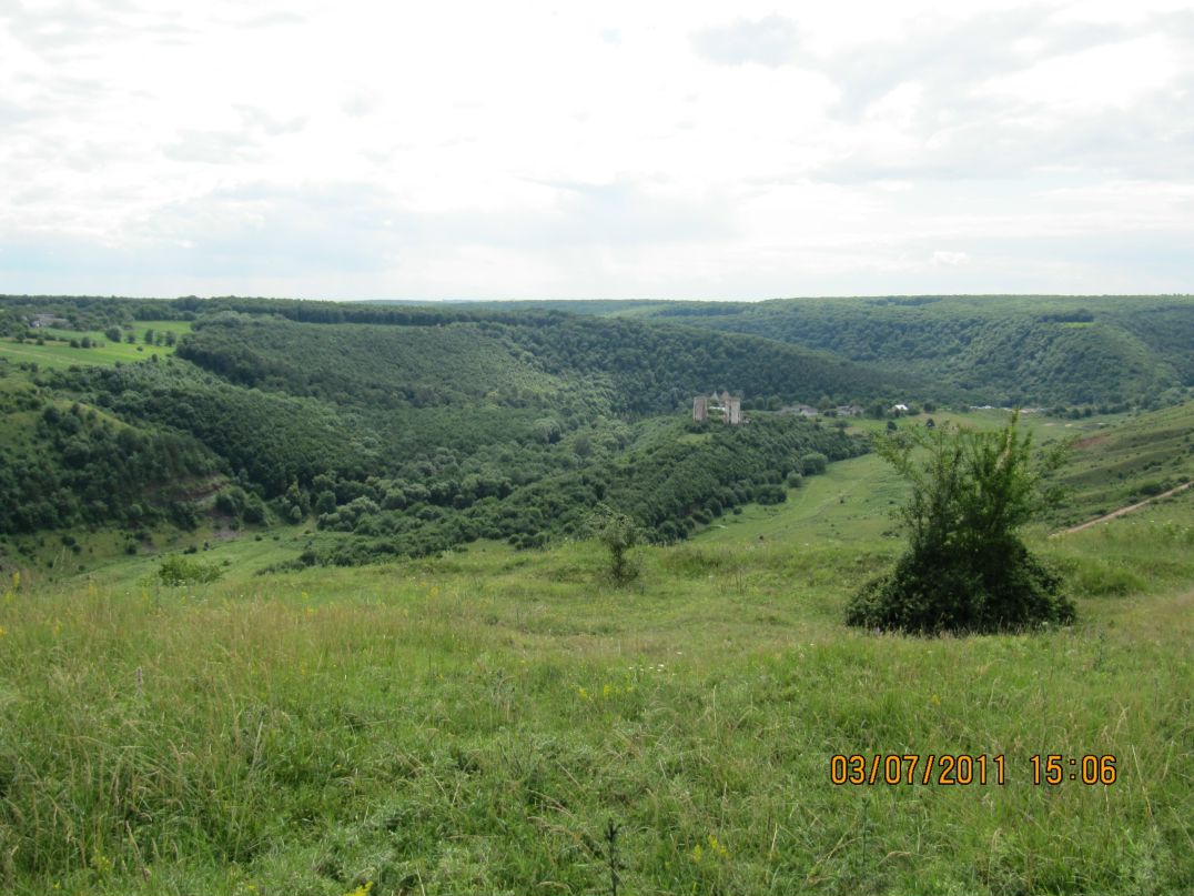 Роман Титенко фотография #37