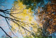 Юлія Куцай фотография #30 (источник - https://vk.com/id6405209)