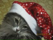 Фотография Павловой Анастасии