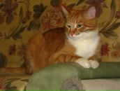 Фотография Алексеев Дима