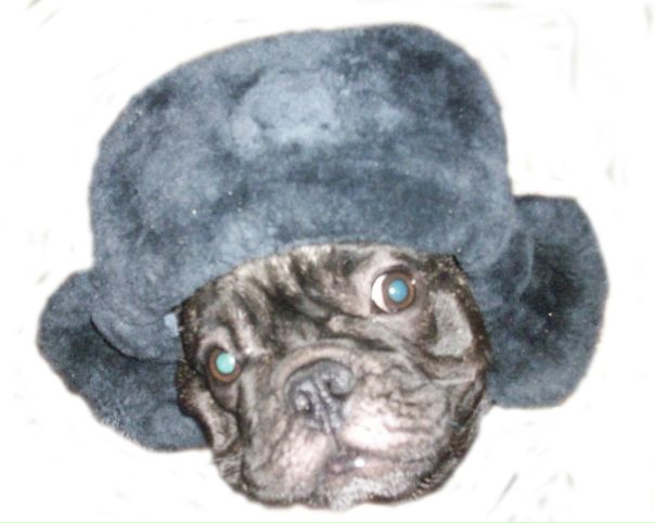 №13, Светлана Малеванная №13, Светлана Малеванная