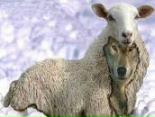 Фотография Исмайылова Турала