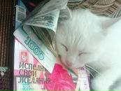 Фотография Медниковой Татьяны