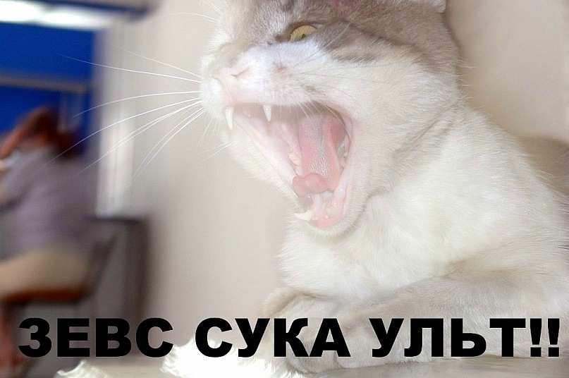 Саша Марченко фотография #34
