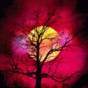 Ліда Махніцка фотография #19 (источник - https://vk.com/id133620901)