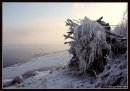 Міша Богровецький фотография #30 (источник - https://vk.com/id18486057)