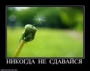 Даниїл Сівак фотография #19 (источник - https://vk.com/id112114676)