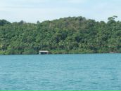 Jemi Li фотография #6 (источник - https://vk.com/id3827665)