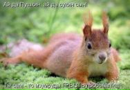 Тетяна Ігнатова фотография #42 (источник - https://vk.com/id73509291)