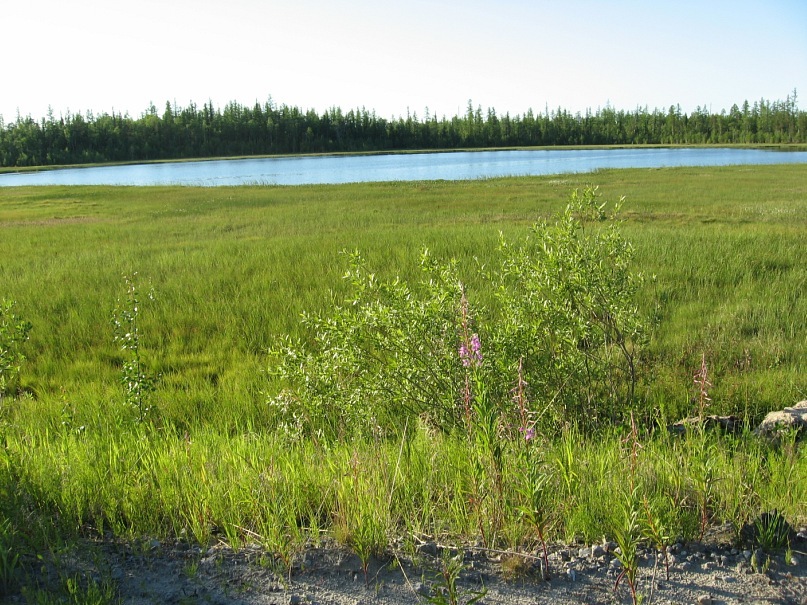 Игорь Дунюшкин фотография #10