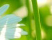 Яна Excale фотография #30 (источник - https://vk.com/id727315)