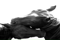 Фотография Филлиповны Настасьи