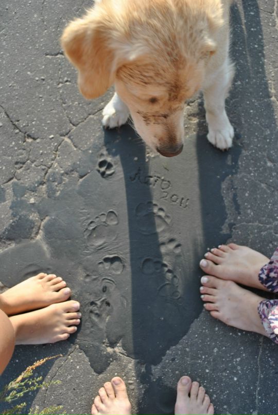 Анастасия Розанова фотография #36