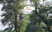 Фотография Фатькина Сергея