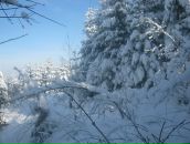 Андрій Тимків фотография #44 (источник - https://vk.com/id76643248)