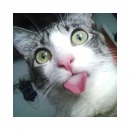 Фотография Ревякина Дмитрия