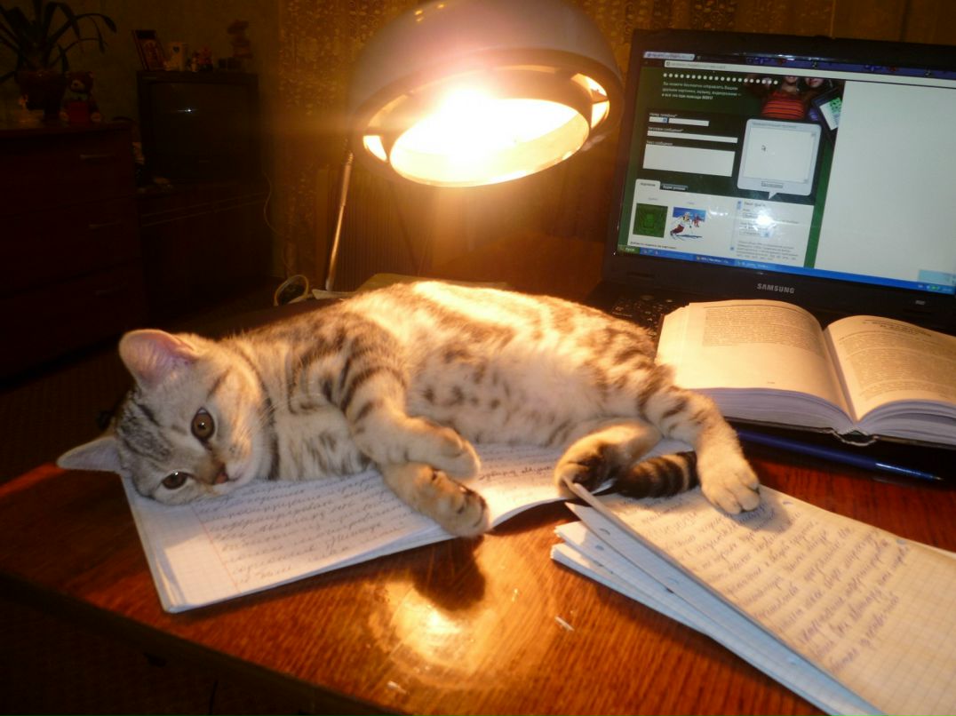 Дарья Петрова фотография #49