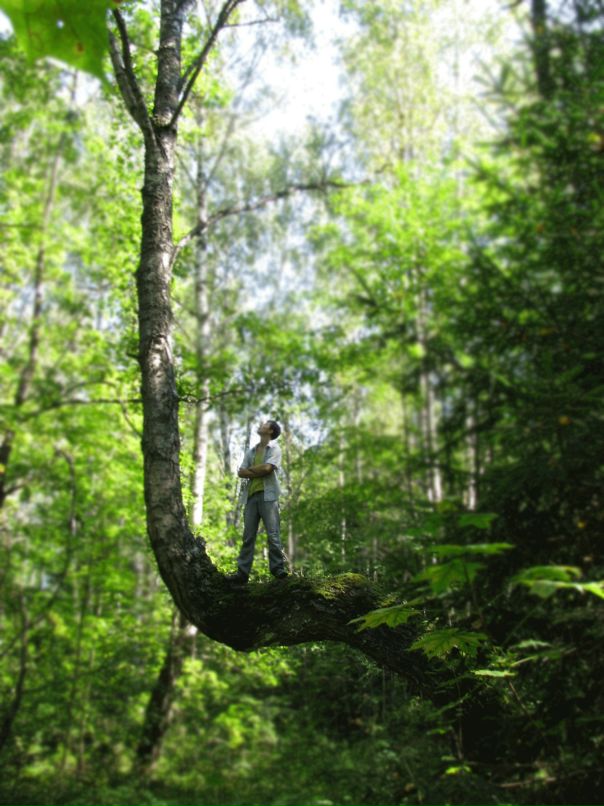 Игорь Дмитриев фотография #41