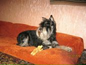 Фотография Валерьевны Анны