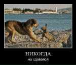 Вікторія Сак фотография #22 (источник - https://vk.com/id63684929)
