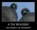Фотография Кениг Олька