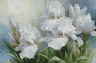 Тамаритто Ck фотография #48 (источник - https://vk.com/id860347)