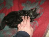 Виктор Трусов фотография #3 (источник - https://vk.com/id2997308)