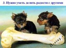 Светик Евтушенко фотография #30 (источник - https://vk.com/id143337040)